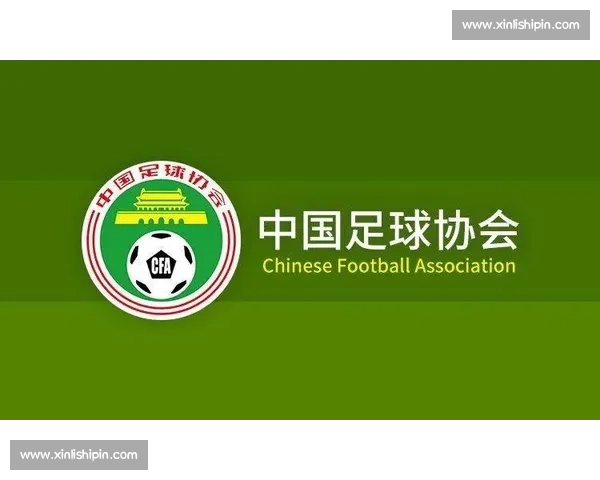 掌上体育赛事全攻略实时比分资讯与精彩赛事回放指南