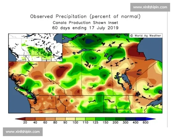 赛后分析：深度剖析比赛过程与关键因素对最终结果的影响
